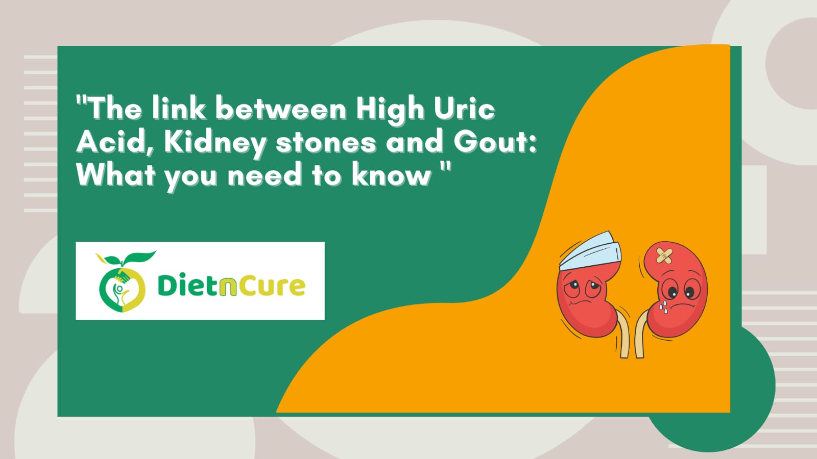 Understanding the Connection Between Elevated Uric Acid, Kidney Stones, and Gout: Essential Insights for Dietary Wellness