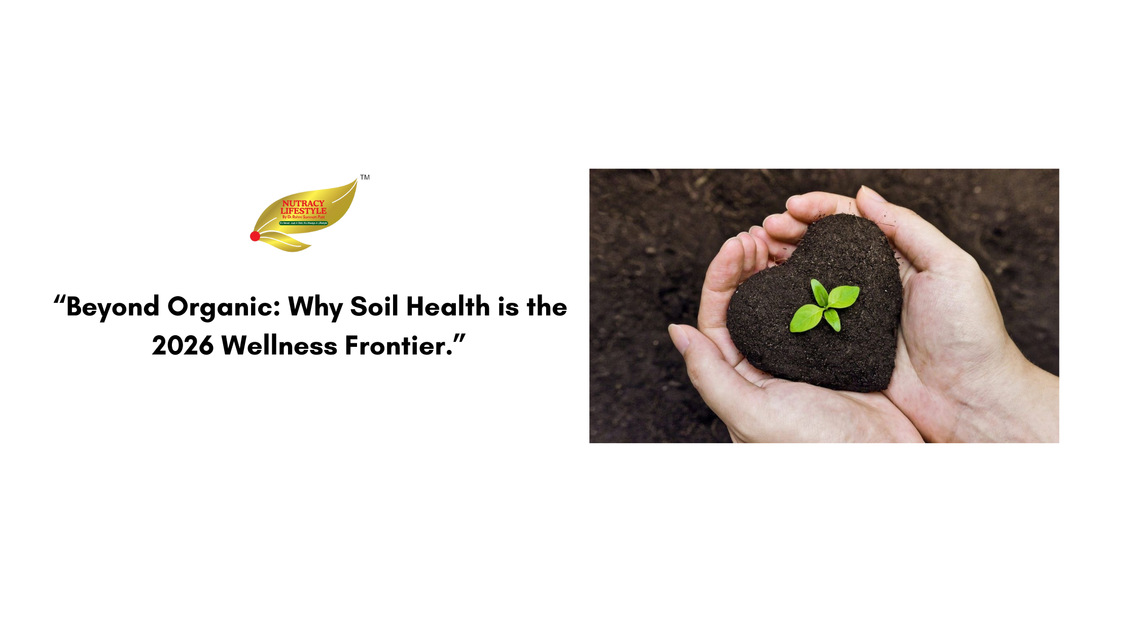 Beyond Organic: Why Soil Health is the 2026 Wellness Frontier