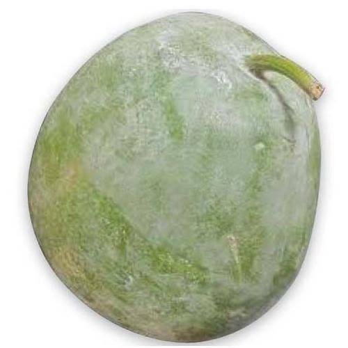 Ashgourd juice benefits