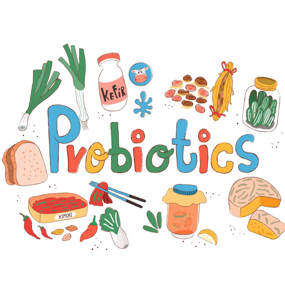The Role Of Probiotics In Healthy Immunity