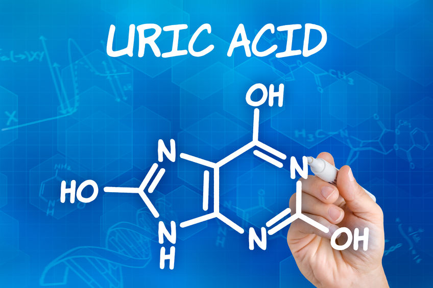 Understanding Uric Acid and Nutrition : How Smart Nutrition Can Keep Gout at Bay!"
