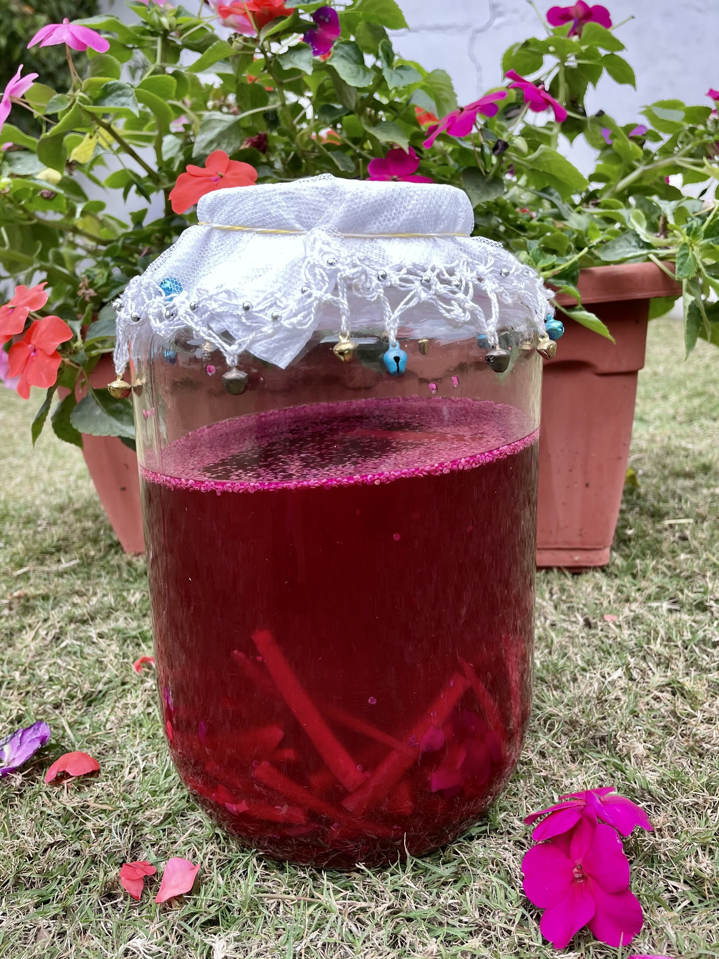 Beetroot carrot kanji