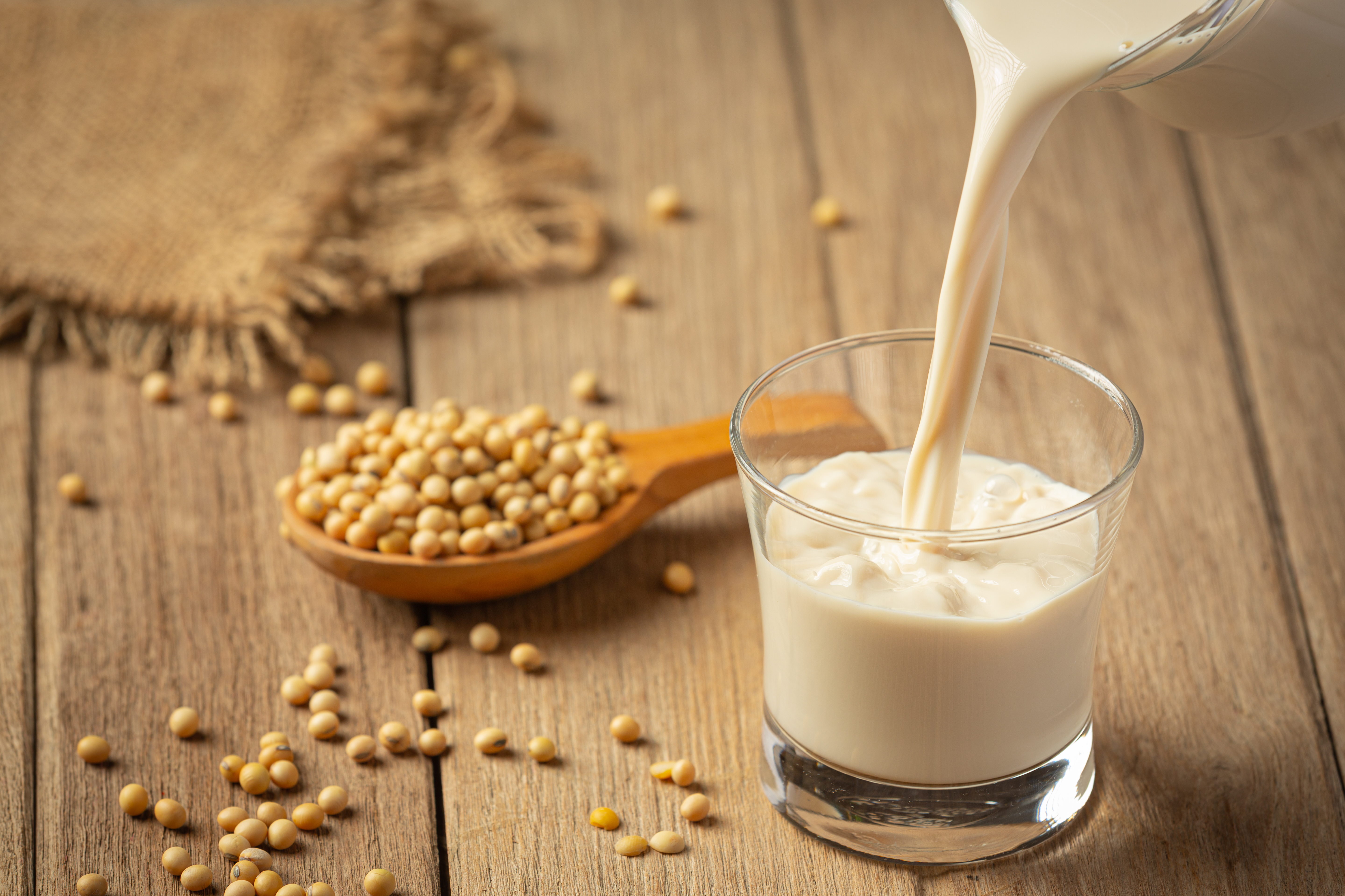 Sattu Drink