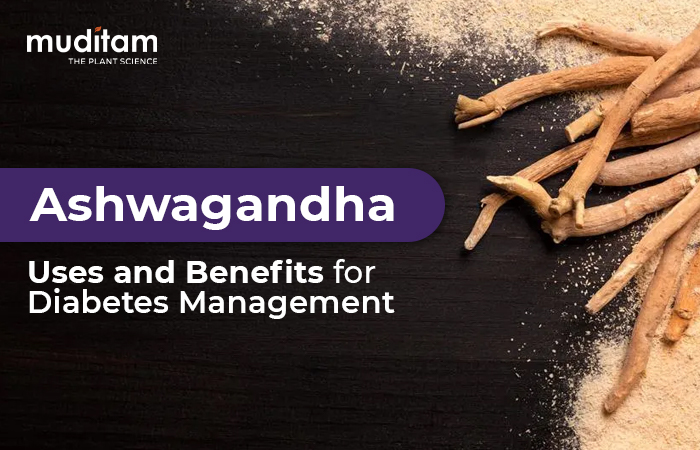 Ashwagandha: Uses and Benefits for Diabetes Management