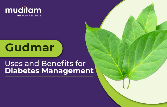 Gudmar: Uses and Benefits for Diabetes Management