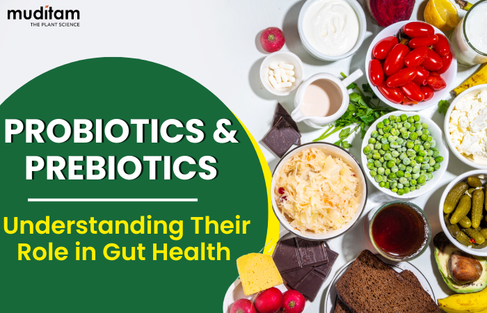 The Role of Probiotics and Prebiotics in Digestive Health