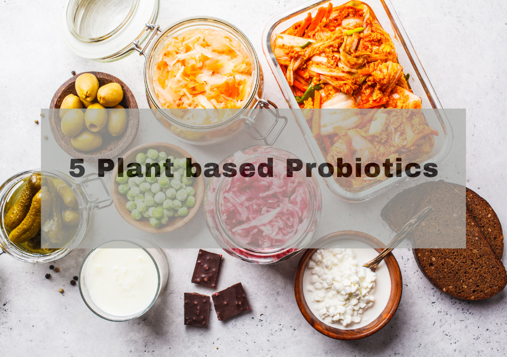 Plant based probiotics