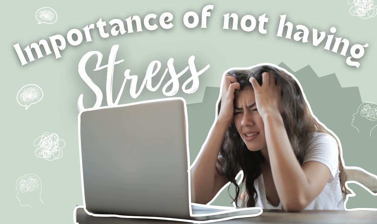 Importance Of Not Having Stress