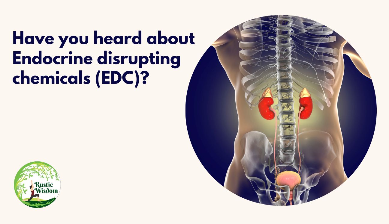 Have you heard about Endocrine Disrupting Chemicals (EDC) ?
